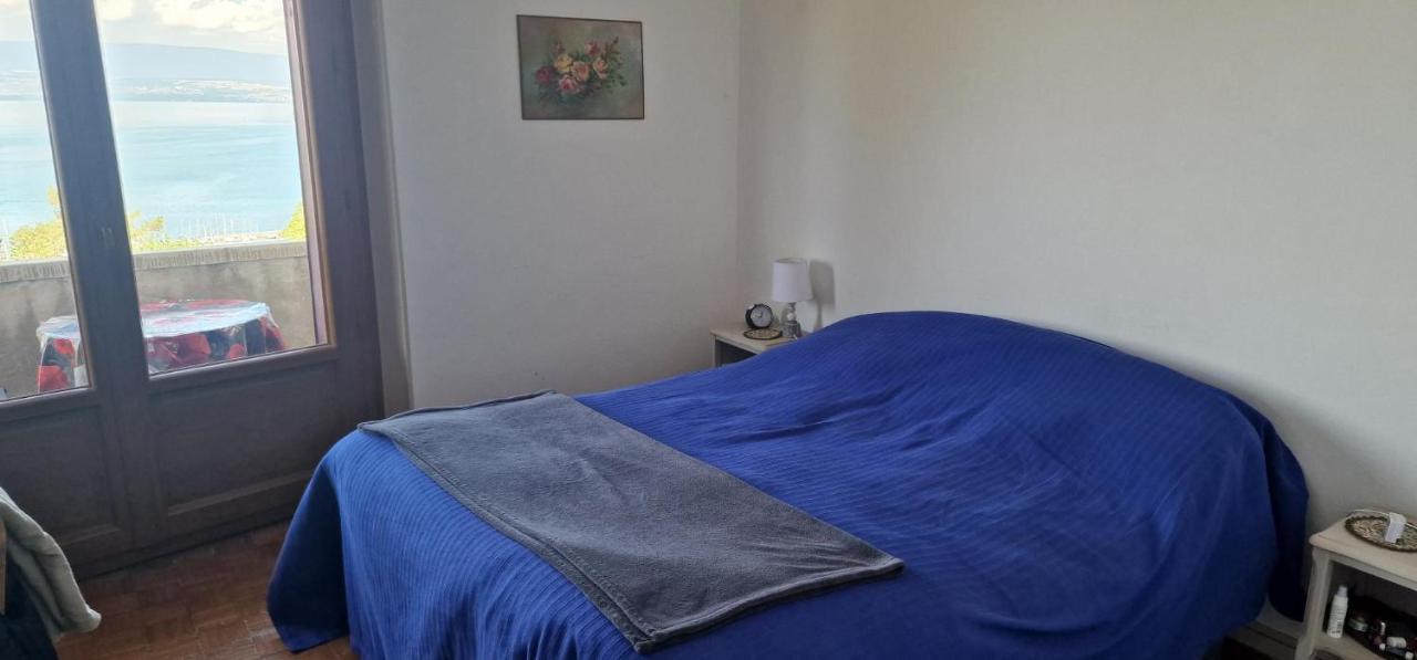 Appartement Le Bellevue 2 à Thonon-les-Bains Extérieur photo